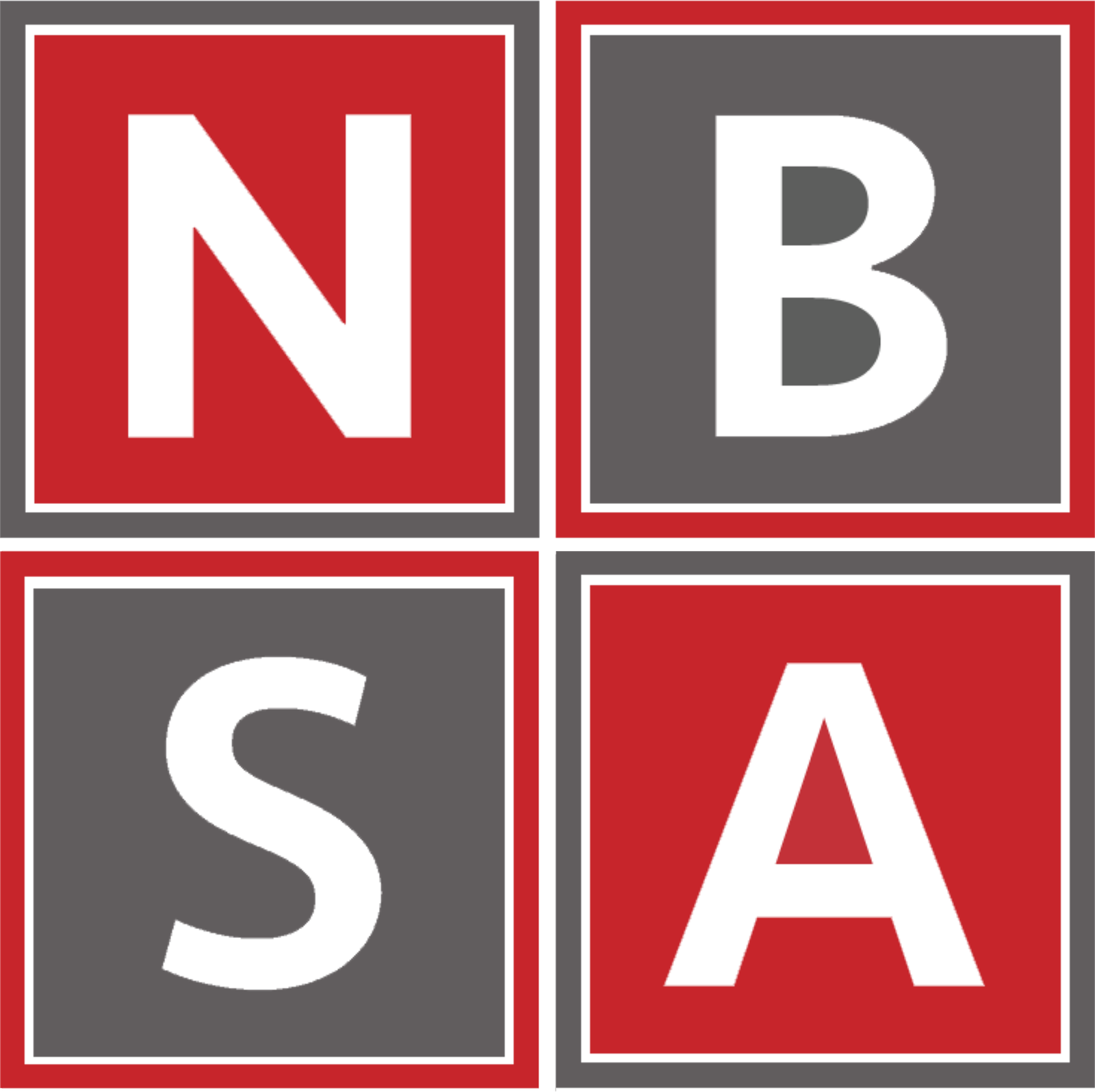PT NBSA